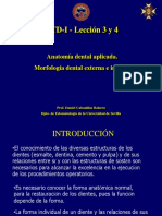 PTD-I - Leccion 3 y 4. Anatomia Dental Aplicada. Morfologia Dental Externa e Interna-1 PDF