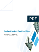 Baosteel GO-ElectricalSteel.pdf