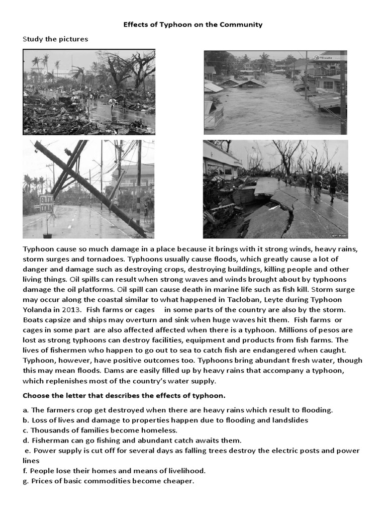 Community Impact of Typhoons | PDF