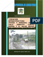 Creación de infraestructura vial en Leoncio Prado