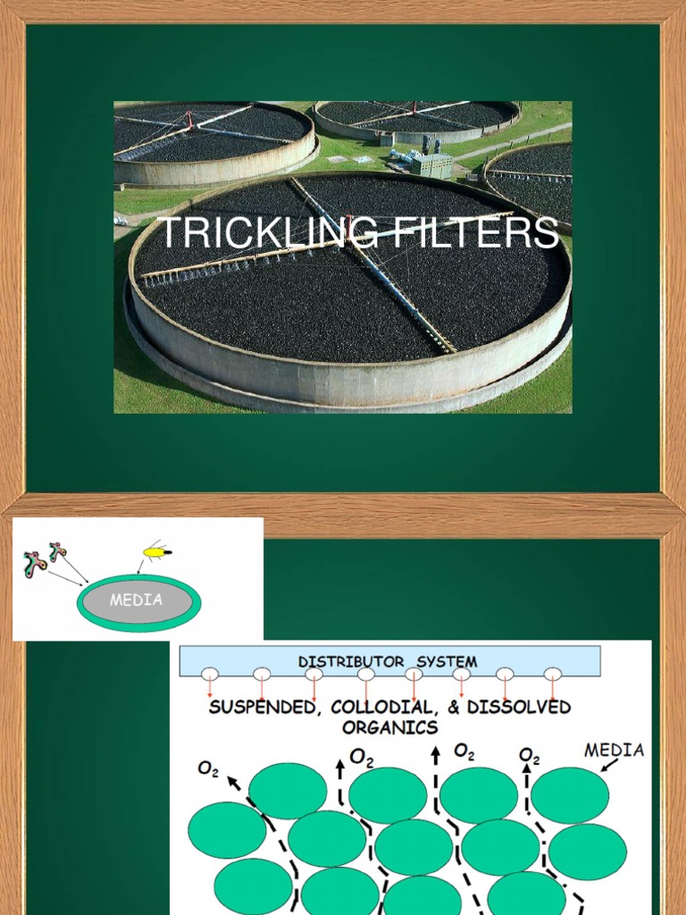 Chapter 8 Trickling Filters PDF Biofilm Filtration