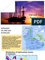 Oil and Gas Potential of Southeast Maluku