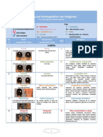 Pares Biomagneticos Imagen PDF