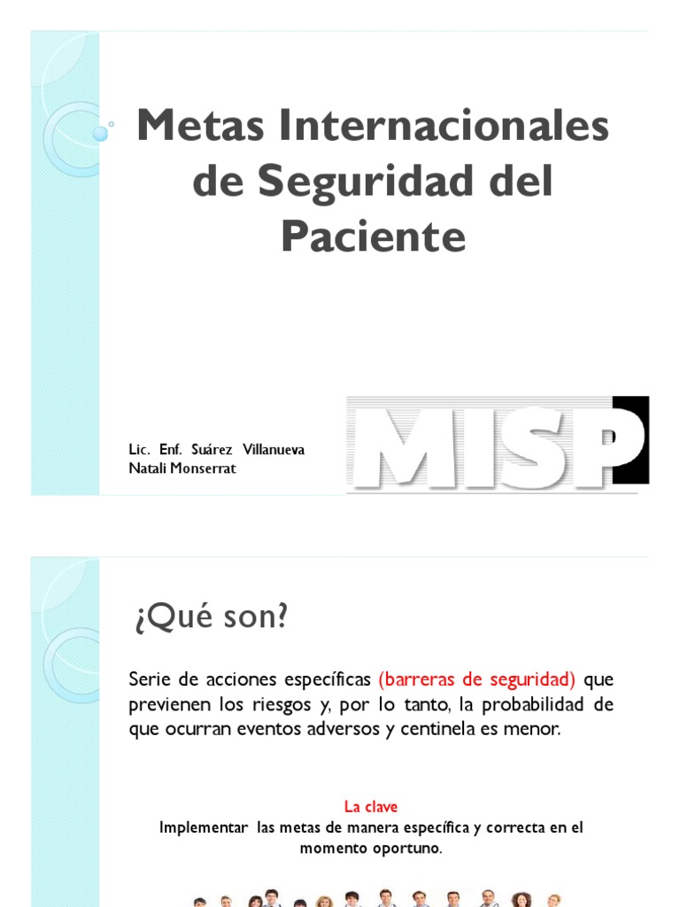 Metas Internacionales PDF | PDF