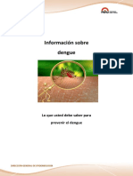 7.Informacion_dengue.pdf