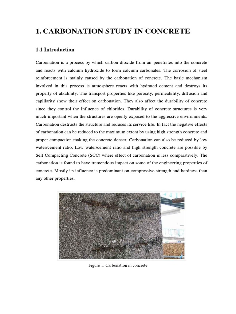 Carbonation Effects on Concrete Durability | PDF