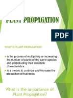 Plant Propagation