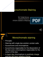 Staining Bacteria