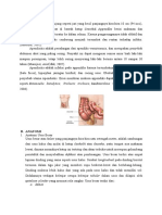 Laporan Pendahuluan Appendisitis (Usus Buntu)