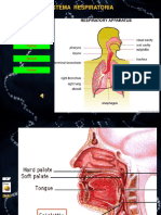 BLOK RESPIRASI (Slide Histo Kaka Asdos)