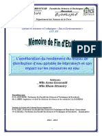 essaouidi-ettamiry.pdf