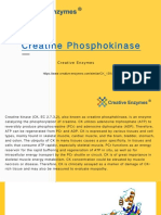 Creatine Phosphokinase - Creative Enzymes
