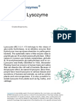 Lysozyme - Creative Enzymes  