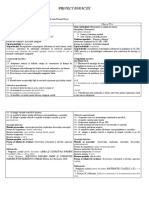 Proiect Didactic Simultan 2 Clase