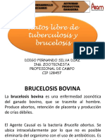 Brucela y TBC.pptx