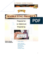 Marketing Plan For A New Product With Diagram