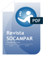 Revista SOCAMPAR VOL 1. Num. 1