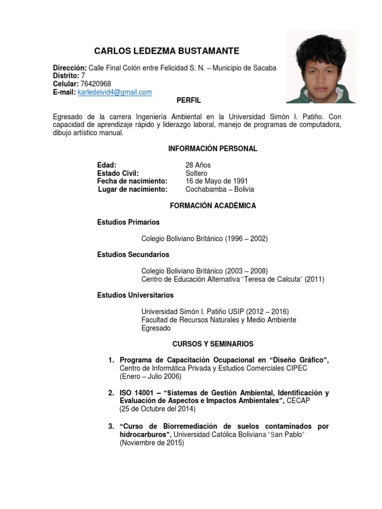 Curriculum vitae carlos pdf