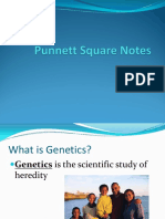 Punnett-Square-Notes.pdf