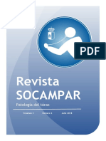 Revista SOCAMPAR VOL 3. Num. 2