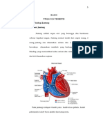 Anatomi dan Fisiologi Jantung
