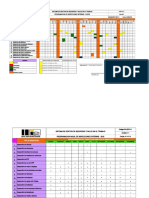 Pai-Sst-001 Programa Anual de Inspecciones Internas - 2019