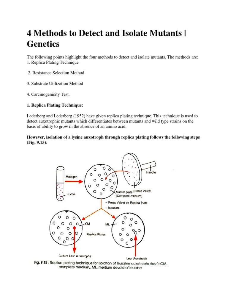 4 Methods To Detect and Isolate Mutants | PDF