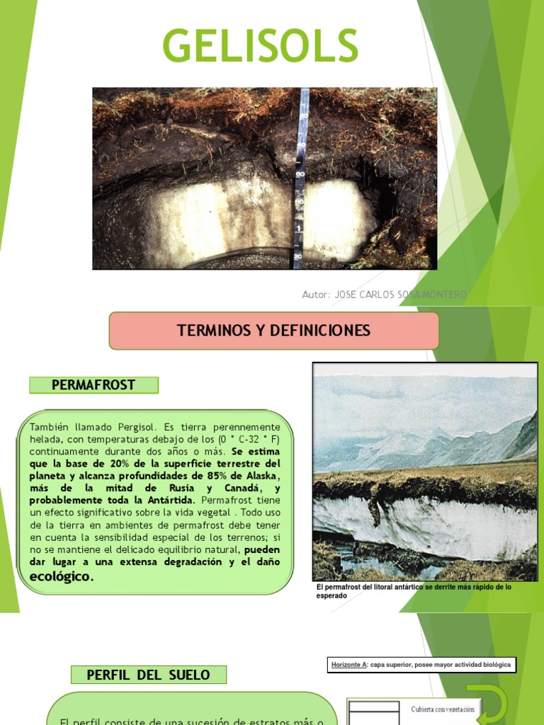 Características de los Gelisoles | PDF | Hogar, jardinería y bricolaje ...