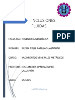 Inclusiones fluidas