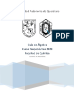 GuÃ - A Ã - Lgebra PropedÃ©utico 2020 FINAL PDF