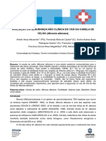 canela de velho segurança.pdf