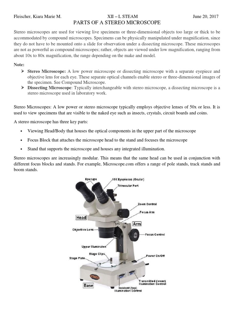 Dissecting Microscope Diagram