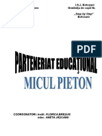 0proiect_educa__354_ional_micul_pieton.doc