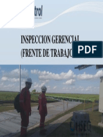 Visita Gerencial 1