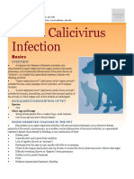 Feline Calicivirus Infection Infectious Diseases