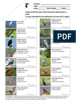 Lista Monitoreo Aves Jardín Botánico Cornell Lab