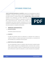 Informe Pericial