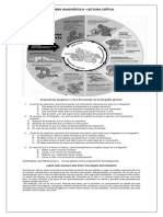 PRUEBA DIAGNÓSTICA – LECTURA CRÍTICA