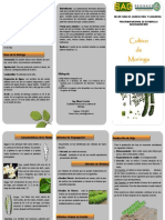 57_Información_cultivo_Guatemala.pdf