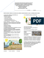 Examen de Diagnostico