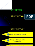 Chapter 1: Respiration