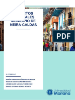 Municipio de Neira PDF