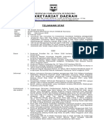 TS Rsud PDF