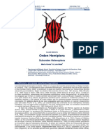 Himenoptera PDF