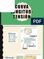 Curva longitud-tensión