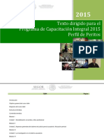 05-Texto-dirigido-Perfil-PERITO.pdf