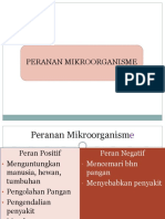 Kuliah-5-Peranan-mikroorganisme (2)