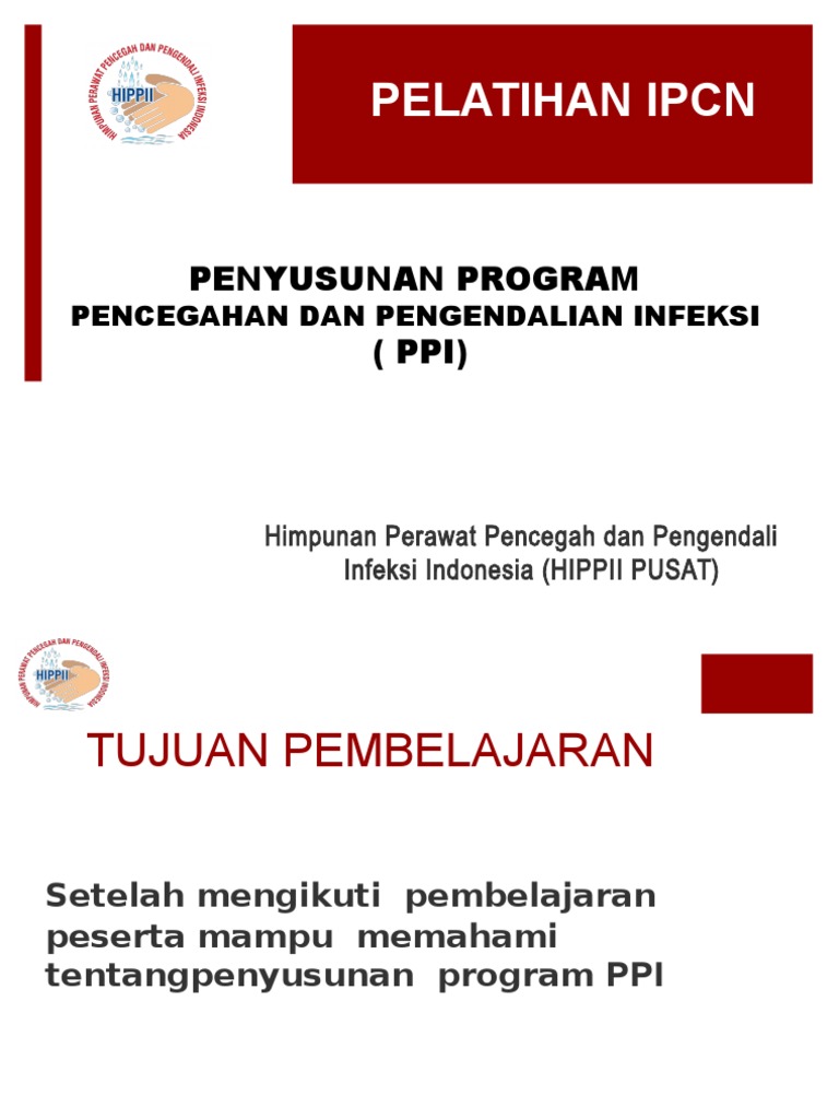 Pelatihan Penyusunan Program PPI | PDF