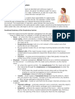 Respiratory System Chapter Summary