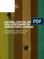 Natural Capital Credit Risk Assessment 2019 PDF